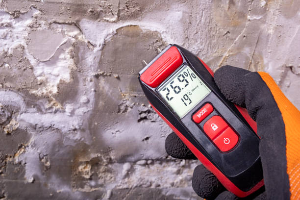 Best HVAC Mold Remediation in Munsons Corners, NY